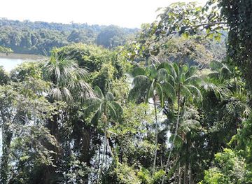 peru/tambopata-national-reserve/restaurant/huitoto-lake-lodge
