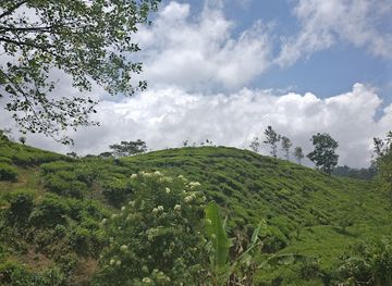 sri-lanka/adam-s-peak/restaurant/dilum-s-restaurant