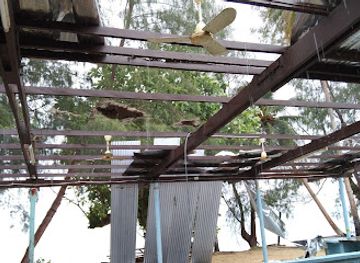 papua-new-guinea/manus-province/restaurant/officers-mess