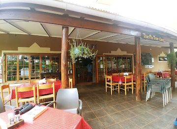 south-africa/elephant-coast/restaurant/rafikis-where-good-friends-meet