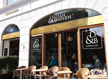 denmark/odense/restaurant/druen-bonnen