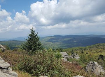 virginia/mount-rogers-national-recreation-area/restaurant/mount-rogers-national-recreation-area