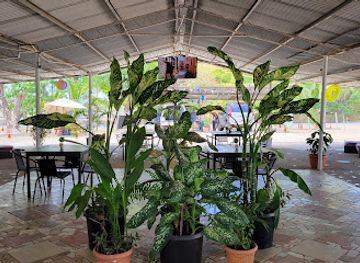 panama/pedasi/restaurant/candy-s-restaurant