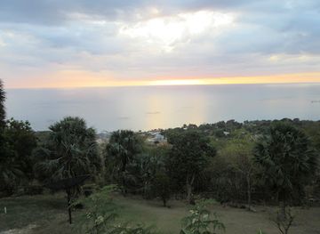 jamaica/black-river-great-morass/restaurant/elaines-chateau