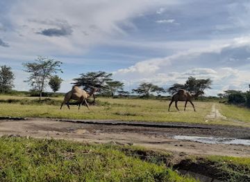 kenya/mount-kenya/restaurant/airmens-mess