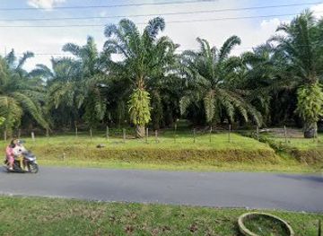 indonesia/bukit-lawang/restaurant/moses-ginting