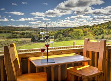 michigan/petoskey/restaurant/petoskey-farms-vineyard-winery-coffeehouse