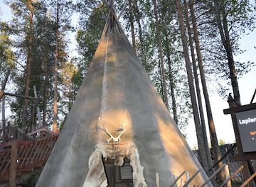 finland/pyha-luosto-national-park/restaurant/restaurant-forest-manor