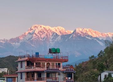 nepal/manaslu-circuit/restaurant/green-view-restaurant