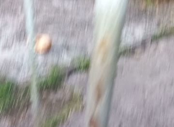 fiji/lautoka/restaurant/kanavata-restaurant