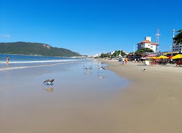 brazil/florianopolis/ingleses-do-rio-vermelho/restaurant/restaurante-petiscaria-porto-da-ilha