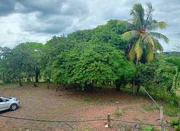 nicaragua/north-caribbean-coast-autonomous-region/restaurant/nicaragua-mulukuku