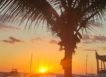 dominican-republic/bayahibe/restaurant/bayahibe