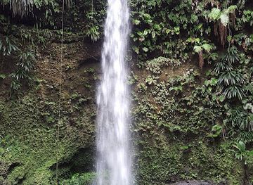 dominica/emerald-pool/restaurant/iguana-cafe