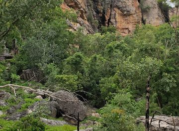 australia/kakadu-national-park/restaurant/nanguluwurr-art-site