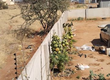 namibia/outjo/restaurant/pizzeria