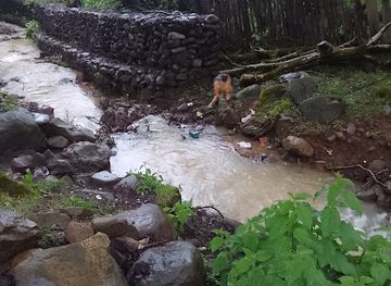 georgia/pshavi/restaurant/restaurant-chagekhute