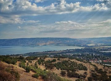 israel/jezreel-valley/restaurant/tzel-tamar