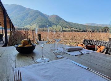 chile/patagonia/restaurant/fuegos-de-apalta