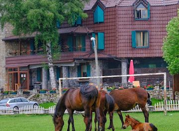 albania/razma-region/restaurant/natyral-razma-resort