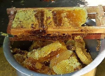 nepal/gorkha/restaurant/crystal-guest-house-restaurant