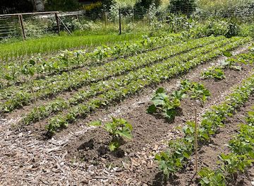 sweden/dalsland/restaurant/engsro-gard