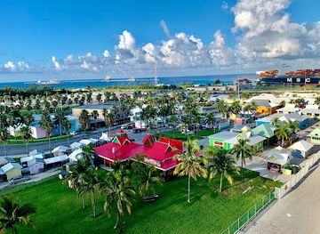 the-bahamas/grand-bahama/restaurant/senor-frog-s-freeport