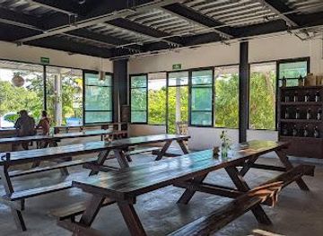 mexico/cozumel/restaurant/casa-cervecera-pescadores
