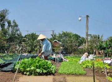 vietnam/north-central-coast/restaurant/tra-que-vegetable-village-restaurant