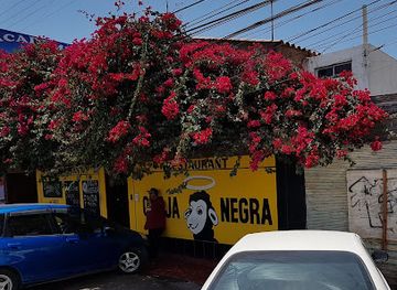 chile/arica-and-parinacota-region/restaurant/restaurante-oveja-negra