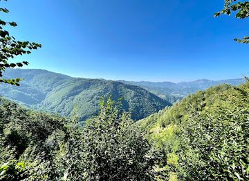 montenegro/mount-bjelasica/restaurant/konoba-vidikovac