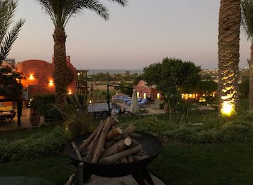 egypt/faiyum-oasis/restaurant/blue-donkey