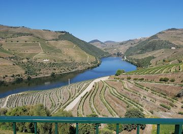 portugal/douro-valley/restaurant/toca-da-raposa