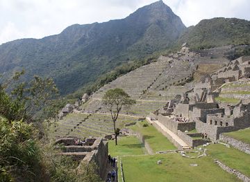 peru/lares-trek/restaurant/jacaranda-restaurante