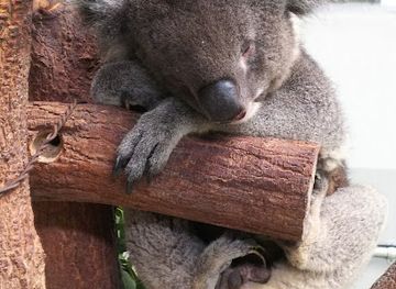 japan/awaji/restaurant/awaji-farm-park-england-hill