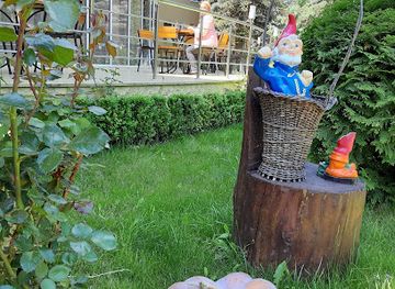 moldova/vatra/restaurant/vatra-elita