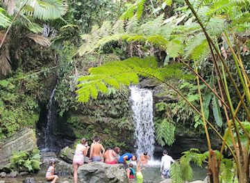 puerto-rico/yunque-national-forest/restaurant/el-yunque-treehouse