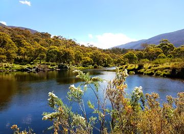 australia/kosciuszko-national-park/restaurant/black-sallees