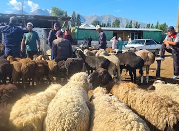 kyrgyzstan/kochkor/restaurant/skotskiy-rynok