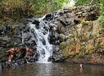 mauritius/bel-ombre/restaurant/bel-ombre-nature-reserve