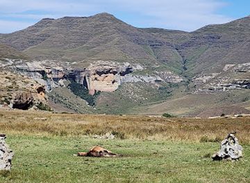 south-africa/golden-gate-highlands-national-park/restaurant/vulture-restaurant-golden-gate-national-park