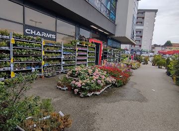 kosovo/gjilan/restaurant/kfc-gjilan