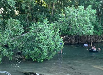 jamaica/portland-ridge/restaurant/forever-young-hq-seafood-bar-grill