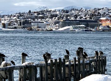 norway/tromso/tromsdalen/restaurant/allegro-fergekroa
