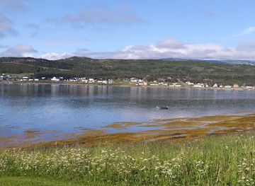 canada/gros-morne-national-park/restaurant/jackie-s-takeout