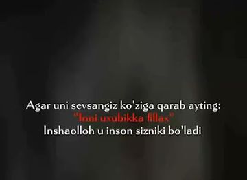 uzbekistan/andijan/restaurant/fozil-ota-to-yxonasi