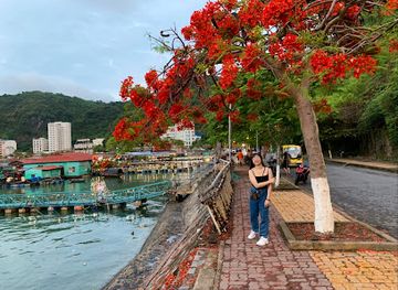 vietnam/cat-ba-island/restaurant/cat-ba-vu-duong-seafood-restaurant