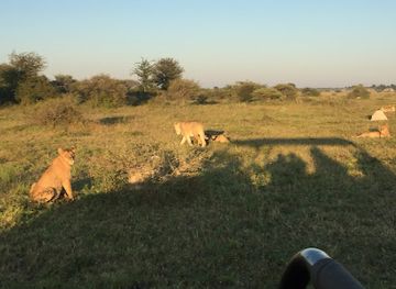 botswana/nxai-pan-national-park/restaurant/nxai-pan-north-camp