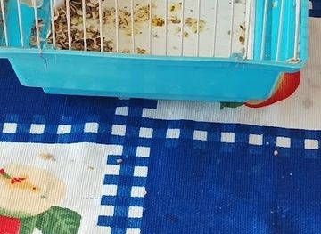 tajikistan/istaravshan/restaurant/restoran-orzu