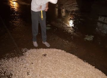 lesotho/berea/restaurant/carnivore-ltd